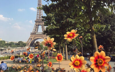 5 lugares que amo e sempre repetirei em Paris
