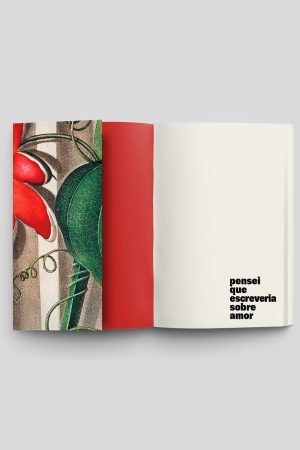 Livro | Pensei que escreveria sobre amor